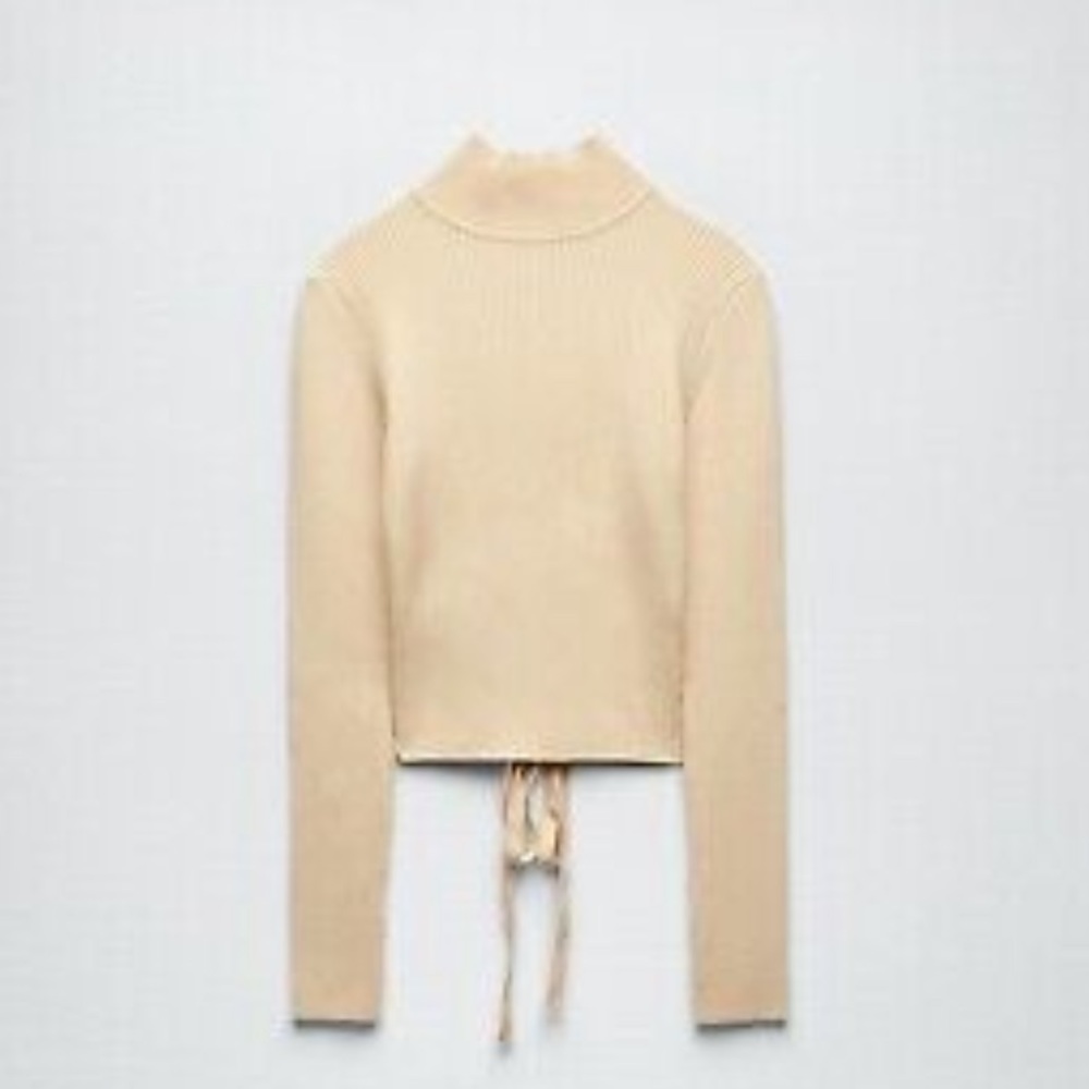 Zara open back sweater